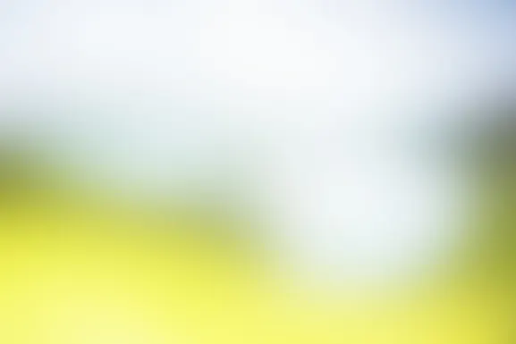 Mint Casino Podrška